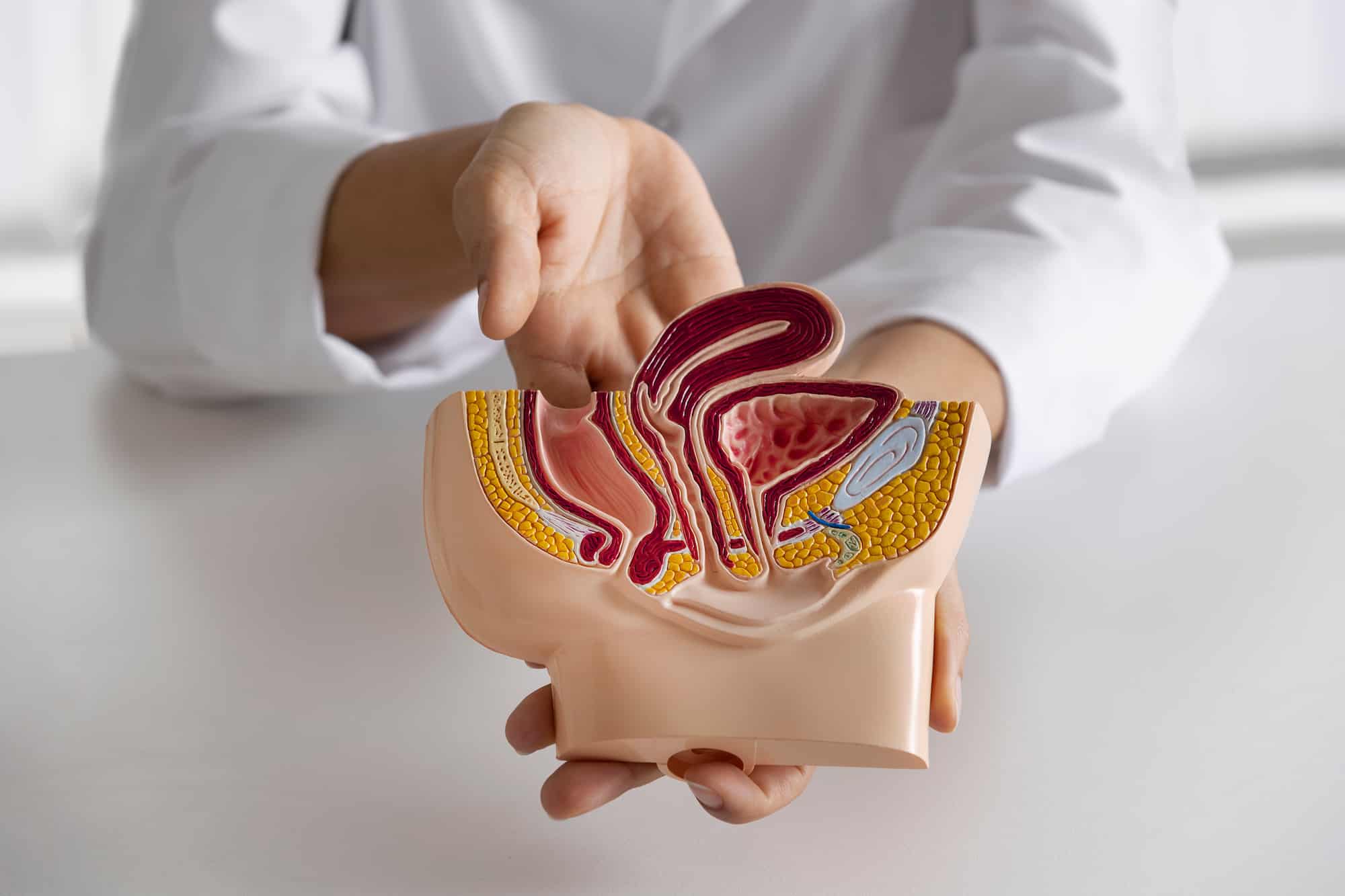 Cirurgia a Laser de Próstata (HoLEP) em Salvador - Dr. Roberto Rossi